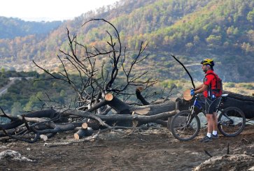A bicyclist stands next to burned trees overlooking green forested hillsides.