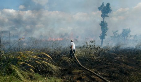Forest fire in Borneo, Indonesia