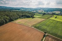 Aerial view of farmland and forest.
