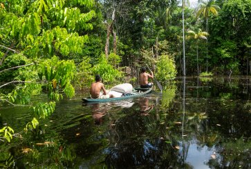 Two men paddling a boat to collect acai berries in the Amazon Rainforest.