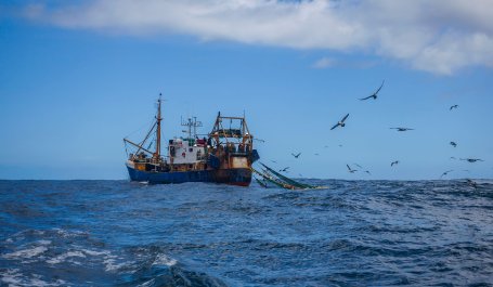 A fishing trawler launches a net into the ocean as birds flock around it.