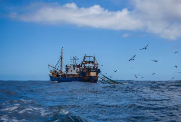 A fishing trawler launches a net into the ocean as birds flock around it.