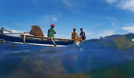 View from the water of people on a boat planting seagrass.