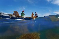View from the water of people on a boat planting seagrass.