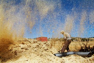 wheat-harvest