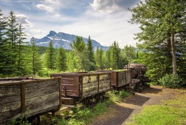 Wooden train cars in front of forest and mountains