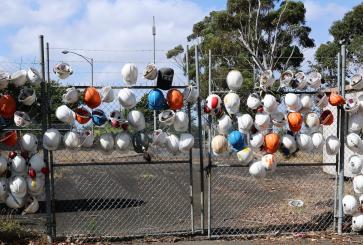 Construction hats hanging on metal gate