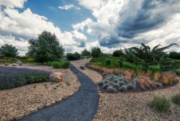 Gardens with gravel path