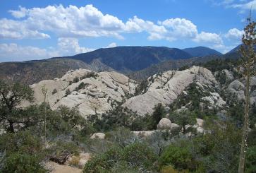 Angeles National Forest