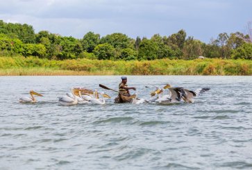 Man boating with birds.