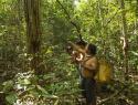 Indigenous peoples surveying a forested landscape