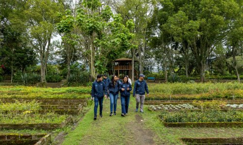 People walk among a nursery filled with rows of plants and trees in Loja.