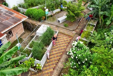 An informal settlement with lush greenery and dry walkways.