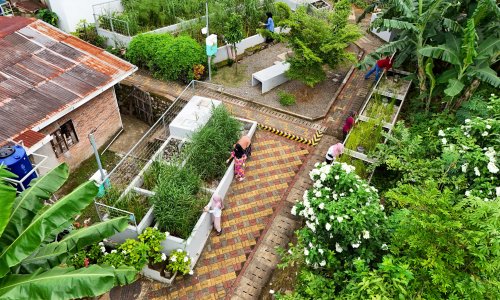 An informal settlement with lush greenery and dry walkways.