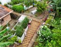An informal settlement with lush greenery and dry walkways.