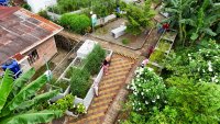 An informal settlement with lush greenery and dry walkways.