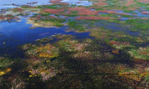 Mudflats along the coastline of the Yellow Sea and Bohai Sea in China.