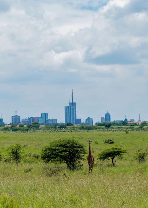 nairobi-skyline-park