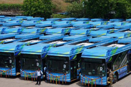 New electric buses are lined up in several rows.