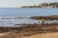 A worker stands near the ocean in California.