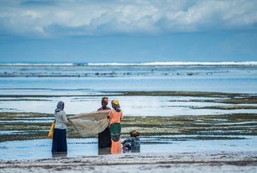 Women hold a fishing net together while standing in coastline waters..