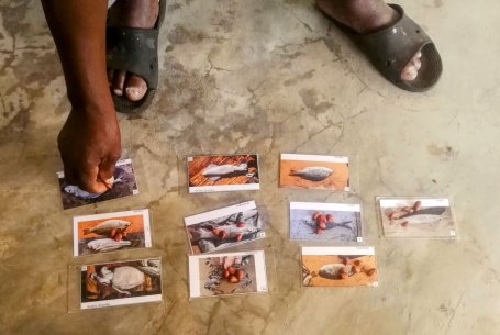 A hand places stones on images of local marine resources. 