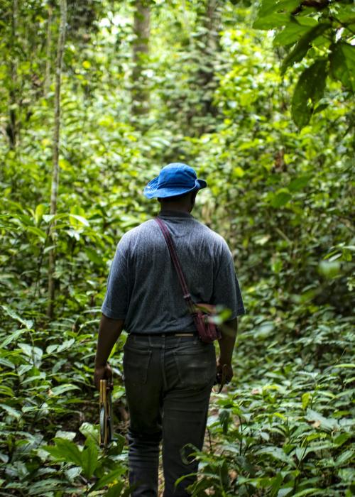 Photo credit: CIFOR/Flickr