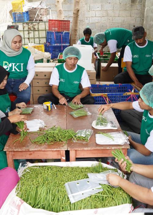 People sorting beans.