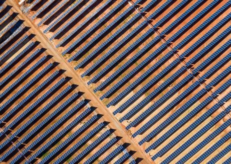 Utility-Scale Solar Project in Spotsvlvania County