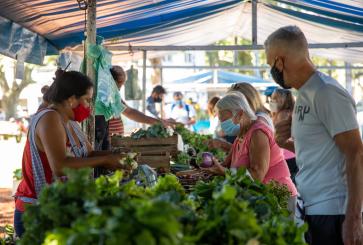 People picking vegetables at a farmers' market