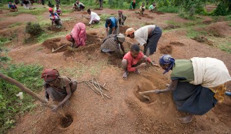 People in southern Ethiopia taking part in a tree planting initiative.