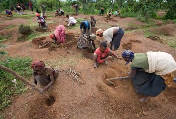 People in southern Ethiopia taking part in a tree planting initiative.