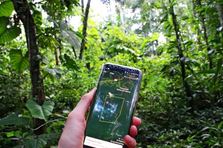 Forest Watcher App.