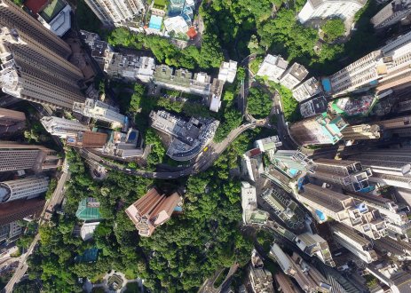 Ariel shot of a city with lots of trees.