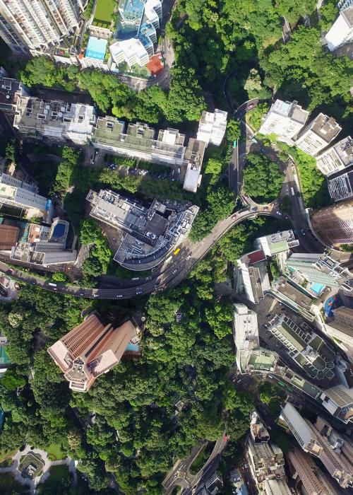 Ariel shot of a city with lots of trees.