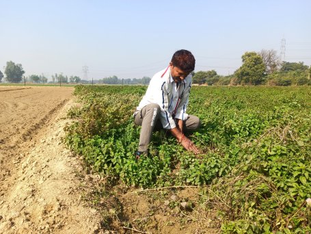 A farmer tending crops.