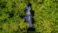 Aerial view of two kayakers on a river surrounded by dense forest.