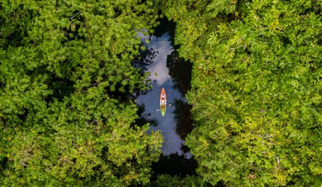 Aerial view of two kayakers on a river surrounded by dense forest.