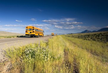 School buses drive down a rural road. 
