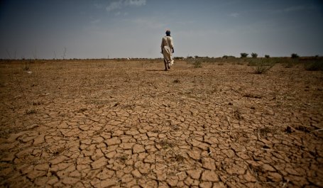 sahel-food-crisis