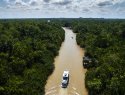 Aerial view of Amazon River