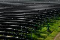 A worker washes solar panels at a large solar farm.