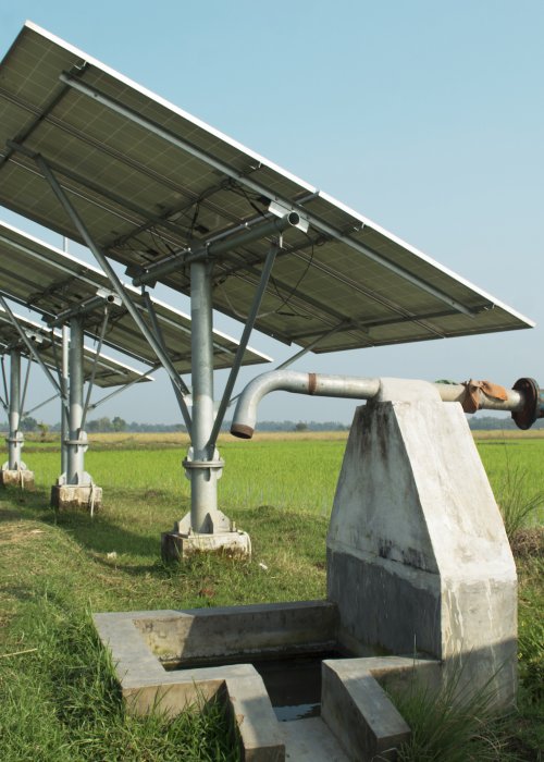 Solar panels in agricultural field