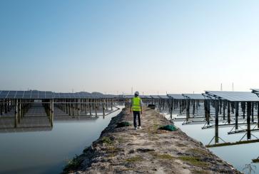 A construction worker walks down a path between rows of solar panels installed over water. 