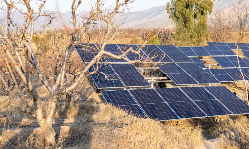 Solar panels in an agricultural field in Pakistan.