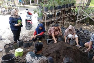 Women sowing tomato seeds.