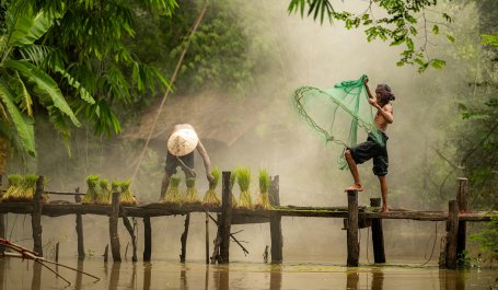 Fisherman using nets to catch fish in a tropical forest. 