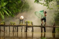 Fisherman using nets to catch fish in a tropical forest. 