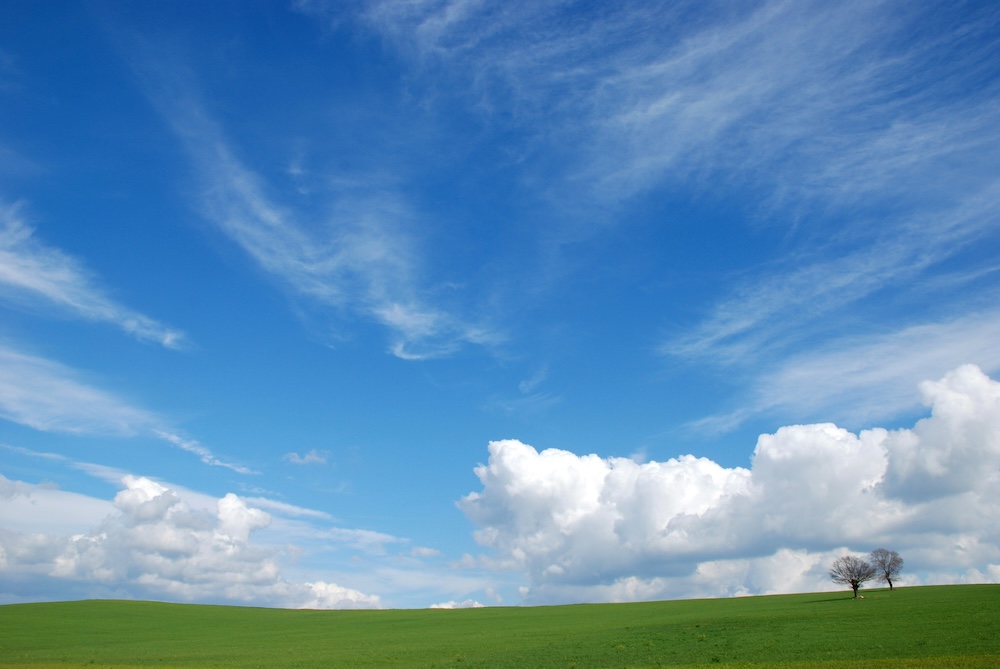 Two trees on a hill with a blue sky.