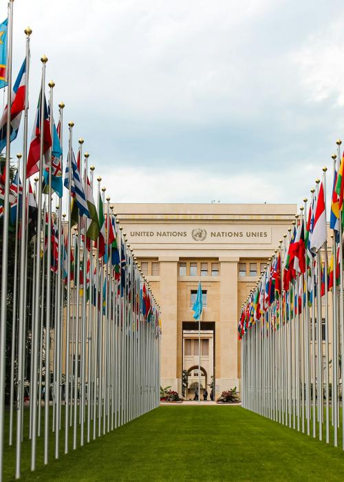 UN flags.